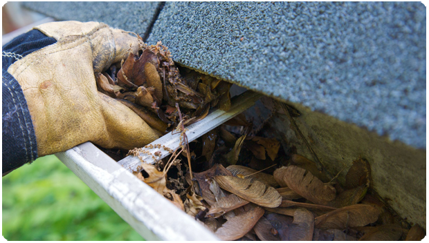 GUTTER CLEANING SERVICES
