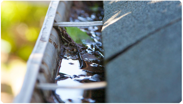 RAIN GUTTER CLEANING
